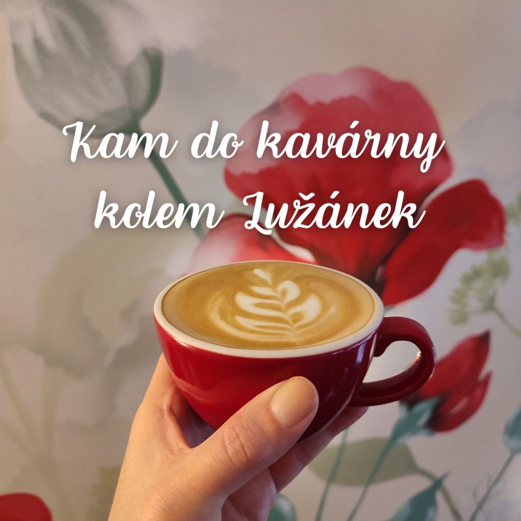 Nejlepší kavárny v okolí parku&nbsp;Lužánky